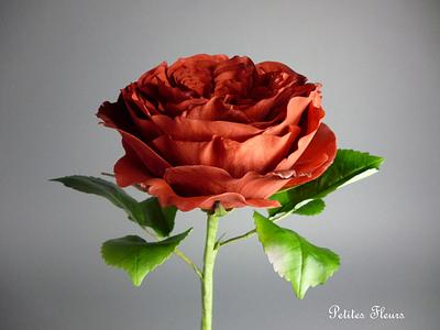 Gumpaste red rose - Cake by Shenelle Robson