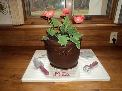 Flower Pot Birthday Cake - Cake by Goreti