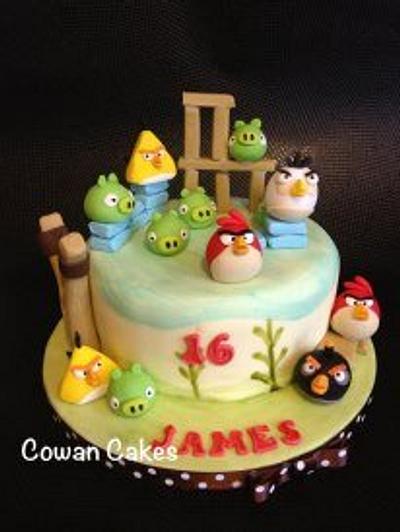 Angry birds! - Cake by Alison Cowan
