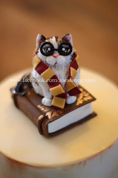 Harry potter cat birthday cake - Cake by Zoe's Fancy Cakes