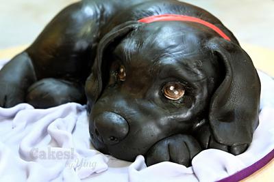 Baby black labrador - Cake by Cakes! by Ying