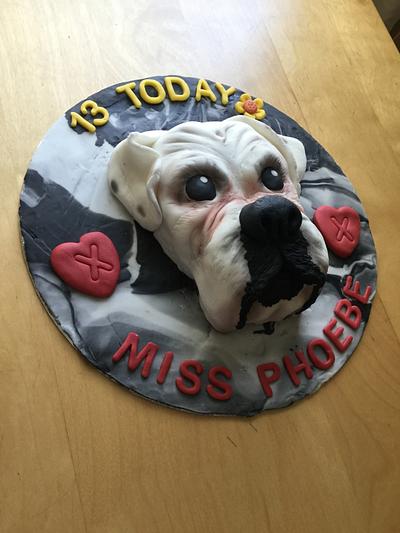 Miss Phoebe The Boxer - Cake by ChristopherJames