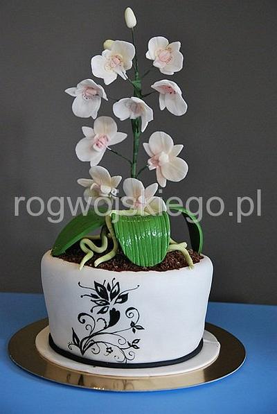 Flower pot with orchids / Tort doniczka z orchideą / storczykiem - Cake by Edyta rogwojskiego.pl
