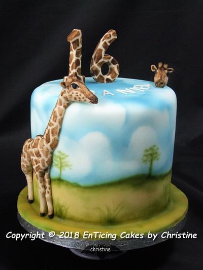 Giraffes - Cake by Christine Ticehurst