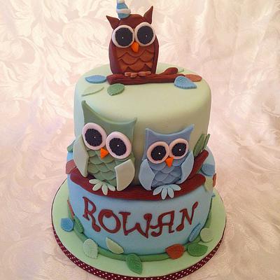 Owl Christening Cake - Cake by Caron Eveleigh
