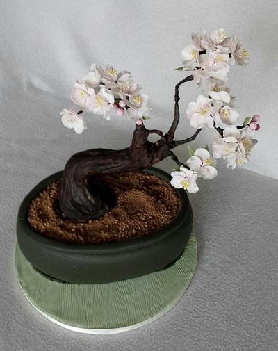 Bonsai - Cake by Anka