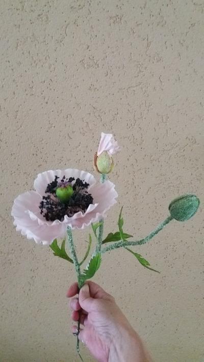 pink poppy... - Cake by Petra