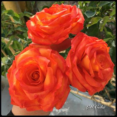 Orange and red tipped wired Sugar roses - Cake by Lisa Templeton