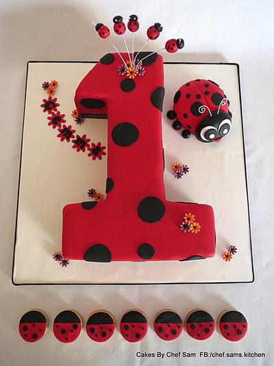 Lady bug number 1 with biscuits - Cake by chefsam