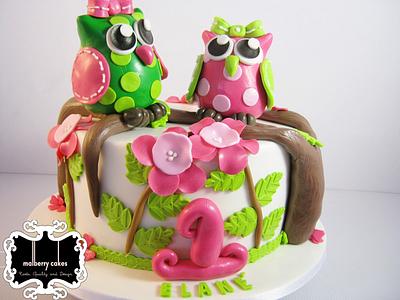 Owl cake - Cake by Malberry Cakes