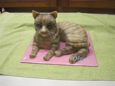 Old Cat - Cake by OlgaC