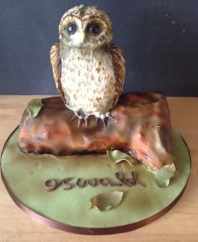 Oswald the owl - Cake by Happyhills Cakes