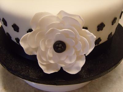 Black on white - Cake by Niknoknoos Cakery