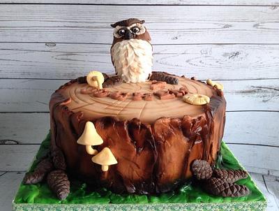Owl cake - Cake by Cake Garden 