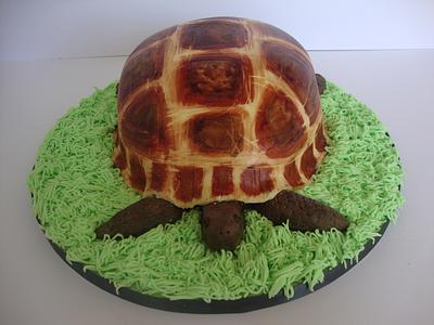 Meet Eric the tortoise. - Cake by Amy