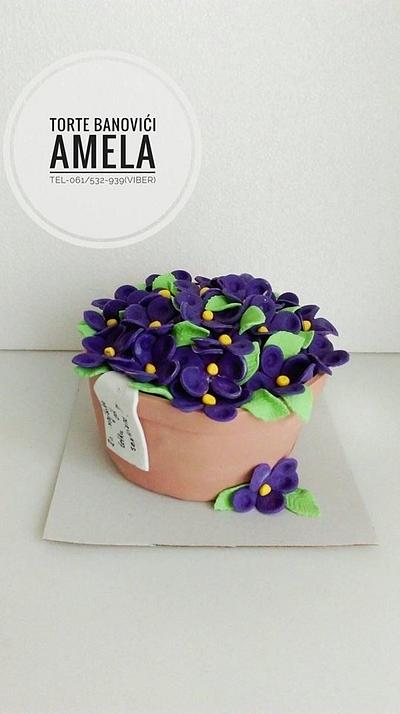 flower pot cake - Cake by Torte Amela