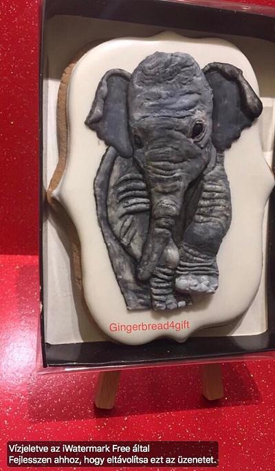 3D Elephant - Cake by Maria