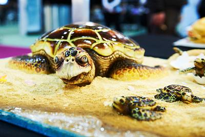 Bella the Turtle - Best in show - Manchester 2013 - Cake by Vicki's Incredible Edibles