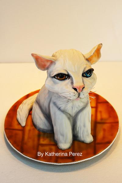 The white cat with blue/brown eyes! - Cake by Super Fun Cakes & More (Katherina Perez)