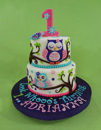 Owl Cake - Cake by Custom Cakes by Ann Marie