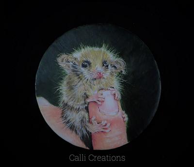 Pigmy Possum Painting Class - Cake by Calli Creations