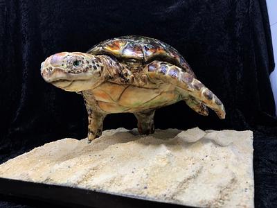 Sculpted turtle cake  - Cake by Dragons and Daffodils Cakes