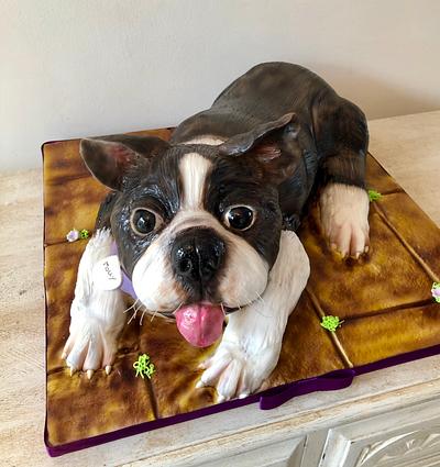 Boston terrier dog sculpture  - Cake by Helen35