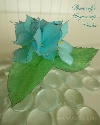 Wafer Paper Hydrangea - Cake by Petya Shmarova