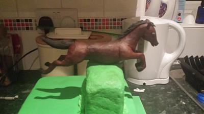 Modelling chocolate horse - Cake by jodie