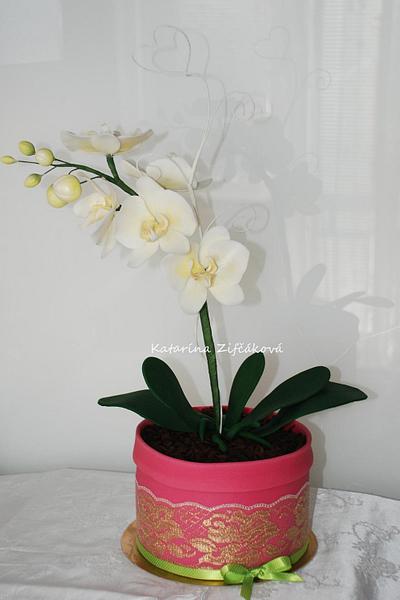 Orchid in flowerpot cake - Cake by katarina139