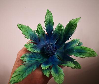 Sea Holly thistle - Cake by Ruth - Gatoandcake