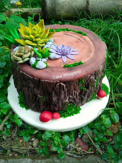 Tree bark Cake  - Cake by Neha Jaiswal 