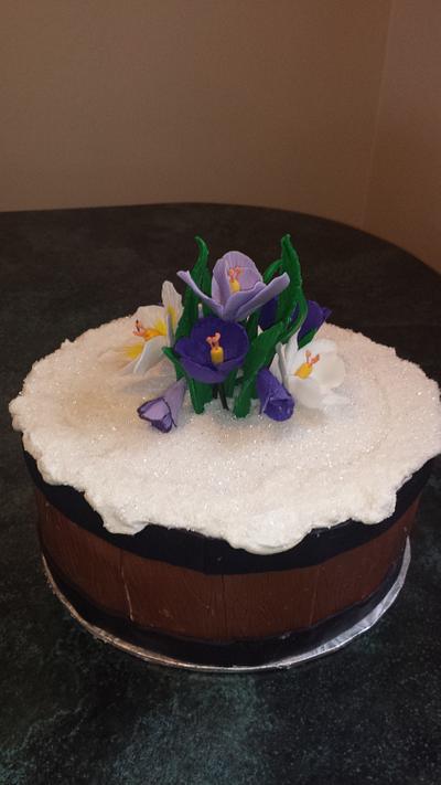 Spring on the Prairies - Cake by Cakes by J