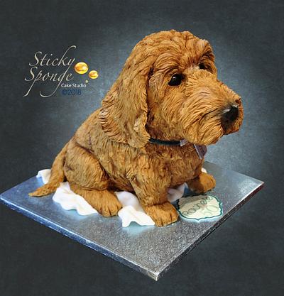 Baxter the Dog cake - Cake by Sticky Sponge Cake Studio