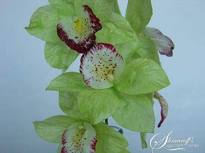 Wafer paper Cymbidium Orchid - Cake by Petya Shmarova