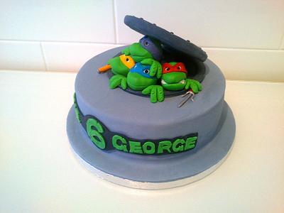 Teenage Mutant Ninja Turtles - Cake by Danielle Lainton