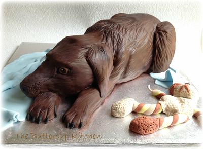 Chocolate lab - Cake by The Buttercup Kitchen