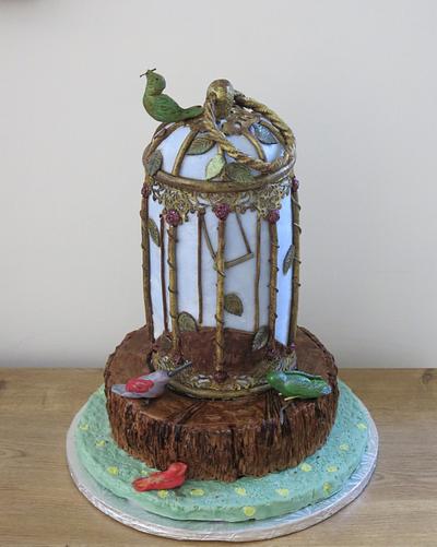 Uncaged - Cake by The Garden Baker