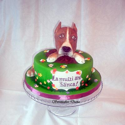 The dog Amstaff sweet - Cake by  Diana Aluaş