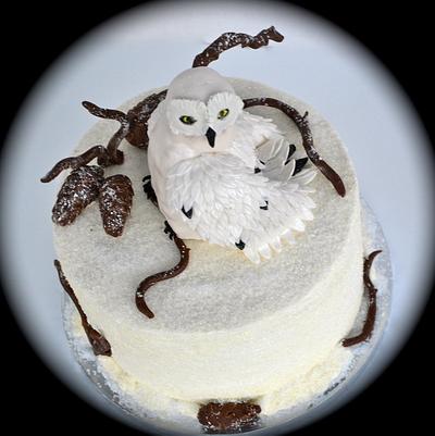 Winter Alaskan Snow Owl Cake - Cake by CrystalMemories