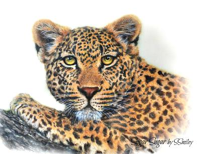 Leopard (Spectacular Pakistan Collaboration) - Cake by Sandra Smiley