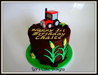1st Birthday Farm - Cake by Lior's Cake Designs