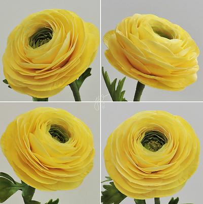 Ranunculus Collage - Cake by Jeanne Winslow