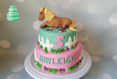 Cake with a horse. - Cake by Pluympjescake
