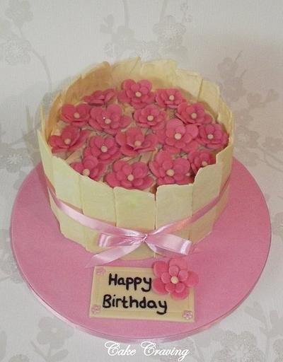 Chocolate cake - Cake by Hayley