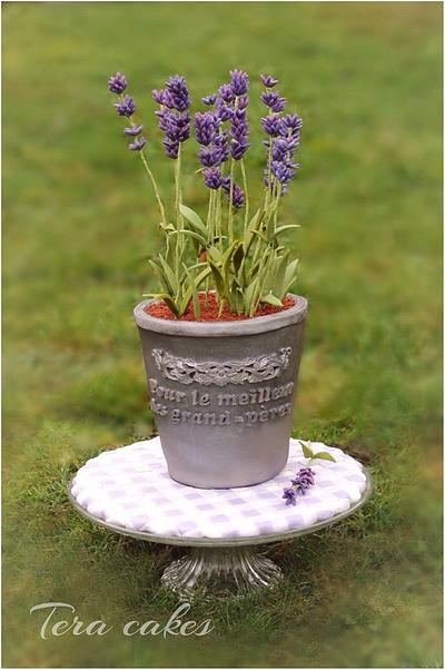 Flowerpot with lavenders - Cake by Tera cakes