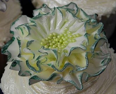 frills on a cupake - Cake by Tinascupcakes