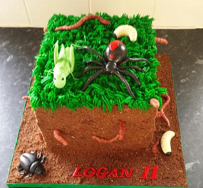 Bug cake - Cake by jodie