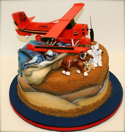 Seaplane Groom's Cake - Complete with rotating propellor & lights! - Cake by Stacy Lint