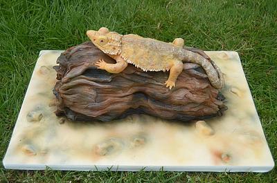Bearded dragon - Cake by The Chain Lane Cake Co.